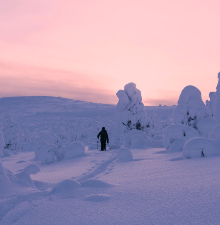 Pyhä backcountry